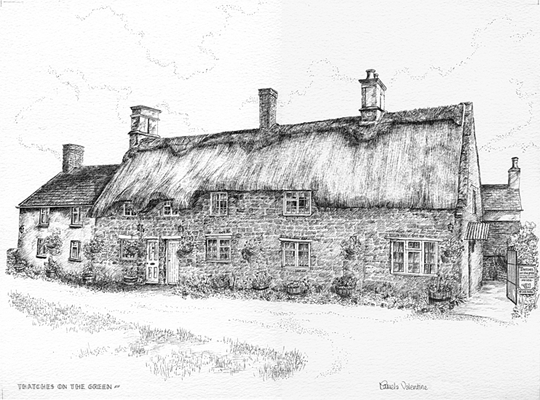 Commissioned Pen and ink illustration of Thatched cottages converted to bed and breakfast accommodation