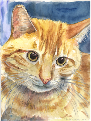 Commissioned Water colour painting of ginger cat