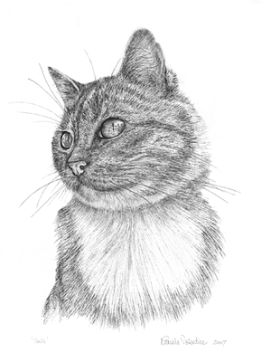 Pen and ink illustration of A happy tabby cat